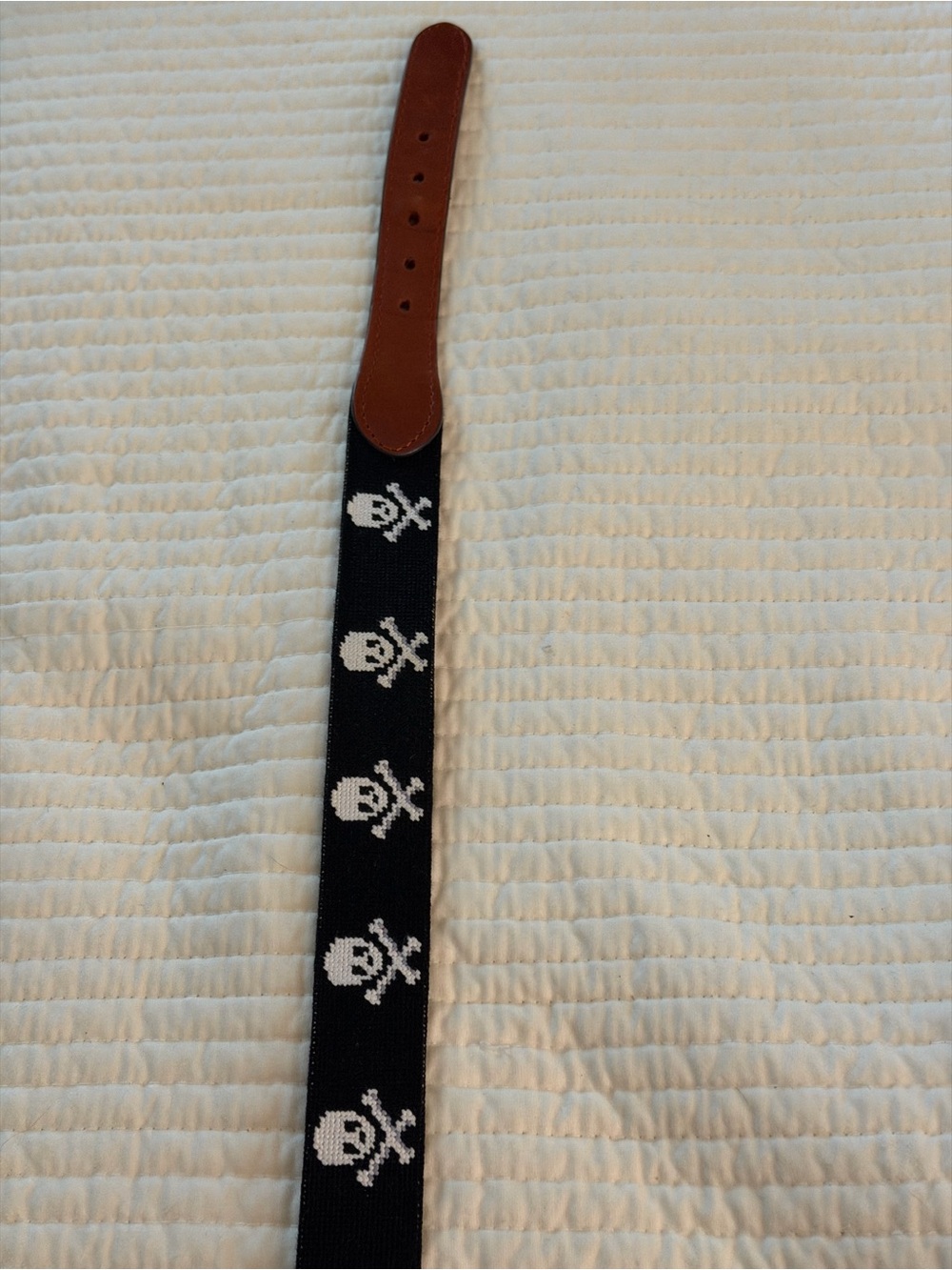 Smathers and Branson Black Skull Pattern Knit Belt with Brown Leathers Trim